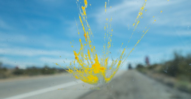 Insect splatter windshield: Photo Credit:  ID 144236934 © Larry Gevert | Dreamstime.com